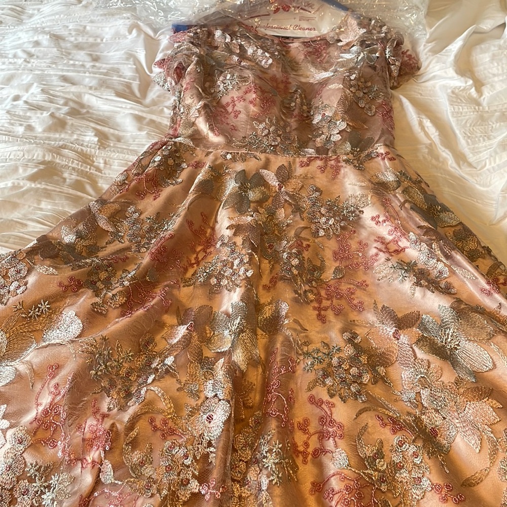 Stunning Eliza J dress!